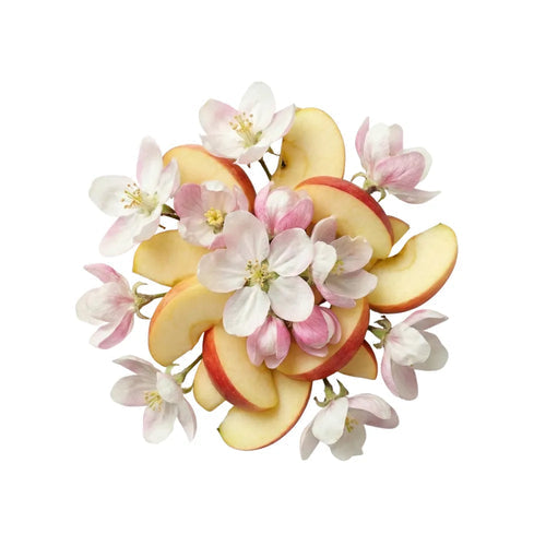 Fleur de Pommier