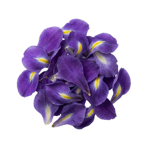 Iris