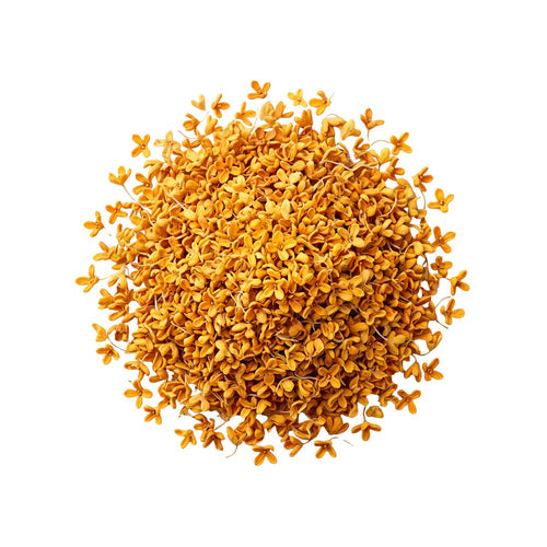 Osmanthus