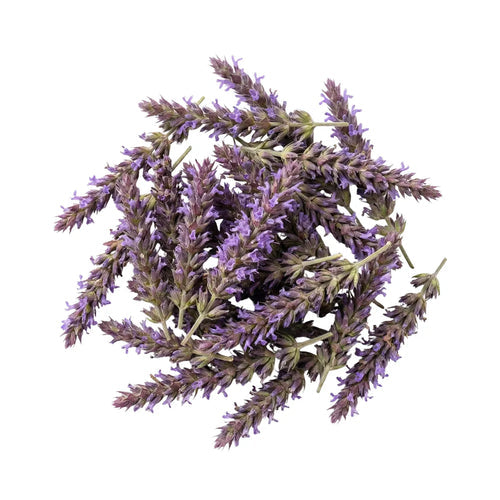 Patchouli