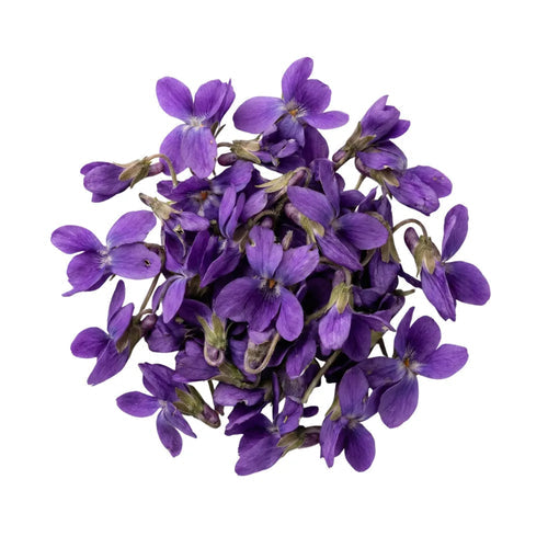 Violette